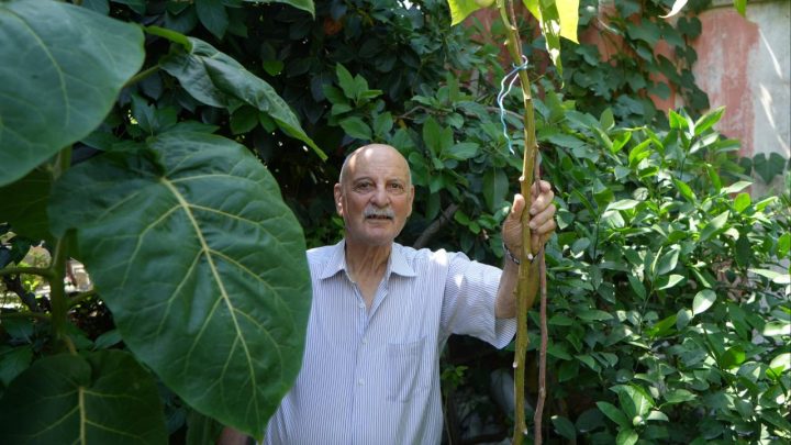 50 ülkeden topladığı tohumlarla dünya bahçesi kurdu