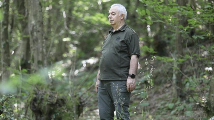 Ormanlara adanmış 41 yıl