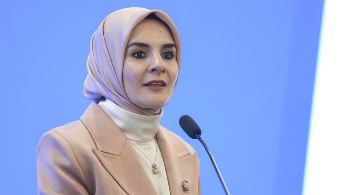 Bakan Göktaş: Gazi Kimlik Kartları'nı teslim etmeye başladık