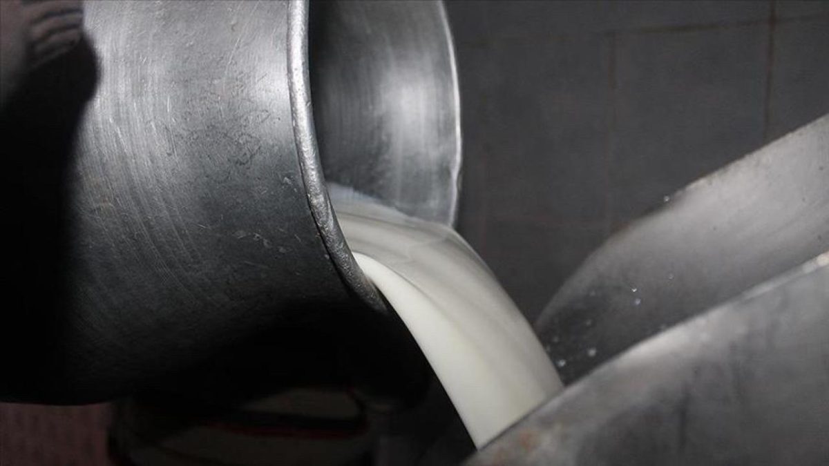 Mesleki yeterlilik belgeli çalışanların topladığı süte ilave destek