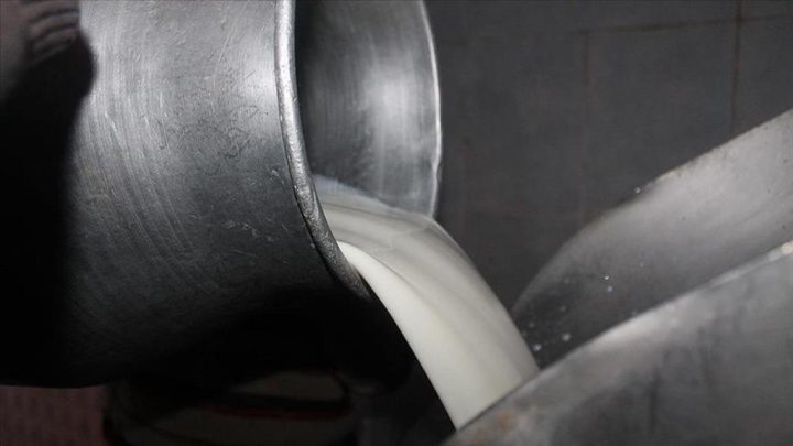 Mesleki yeterlilik belgeli çalışanların topladığı süte ilave destek